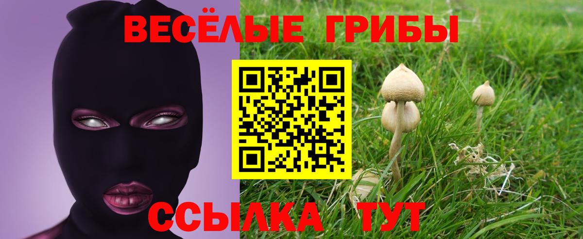 Галлюциногенные грибы ЛСД Десногорск