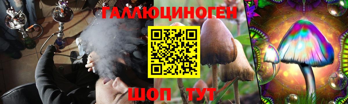 Десногорск  Галлюциногенные грибы GOLDEN TEACHER  Вход с VPN  Псилоцибиновые грибы GOLDEN TEACHER 